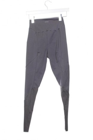 Damen Leggings Oysho, Größe XS, Farbe Grau, Preis € 13,81