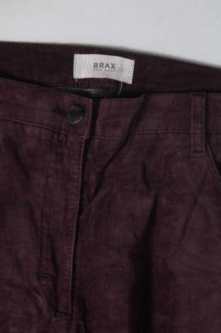 Damenhose Brax, Größe L, Farbe Lila, Preis 43,49 €