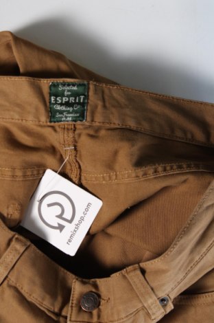 Pantaloni de femei Esprit, Mărime M, Culoare Bej, Preț 54,99 Lei