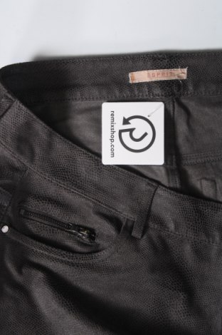 Damenhose Esprit, Größe L, Farbe Grau, Preis 11,99 €