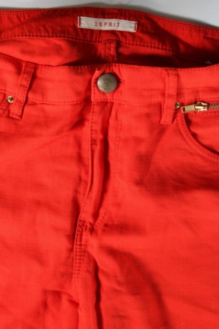 Damenhose Esprit, Größe M, Farbe Rot, Preis € 11,99