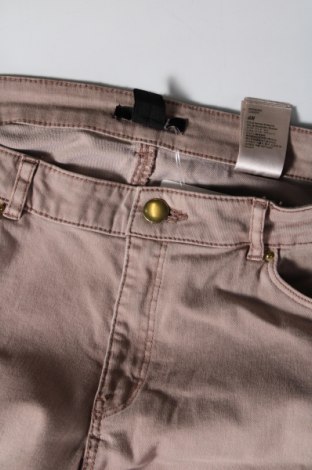 Damenhose H&M, Größe XL, Farbe Beige, Preis € 14,83