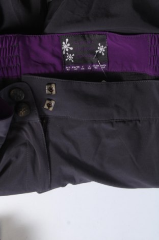 Damenhose für Wintersport, Größe L, Farbe Grau, Preis 67,99 €