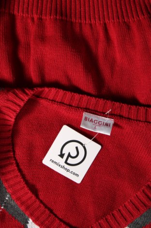 Damenpullover Biaggini, Größe L, Farbe Mehrfarbig, Preis 31,71 €