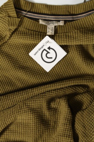 Damenpullover Esprit, Größe XL, Farbe Grün, Preis € 28,99