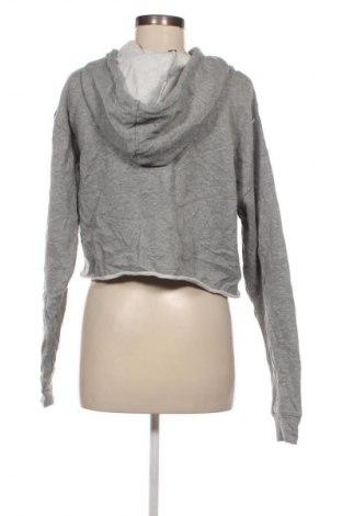 Damen Sweatshirt Wild Fable, Größe M, Farbe Grau, Preis € 4,99