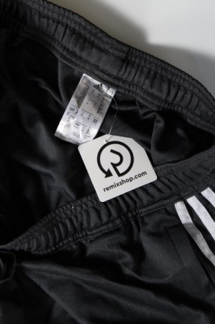 Dámske tepláky Adidas, Veľkosť M, Farba Sivá, Cena  23,45 €