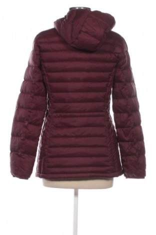 Damenjacke, Größe L, Farbe Rot, Preis 14,99 €