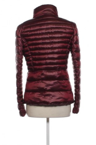 Damenjacke CoolCat, Größe M, Farbe Rot, Preis € 40,85