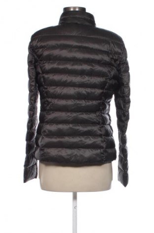 Damenjacke Esprit, Größe M, Farbe Grau, Preis 47,99 €