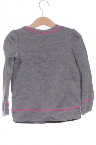 Kinder Shirt Circo, Größe 2-3m/ 56-62 cm, Farbe Grau, Preis 4,99 €