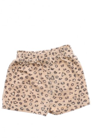 Kinder Shorts Ergee, Größe 6-9m/ 68-74 cm, Farbe Mehrfarbig, Preis € 7,12