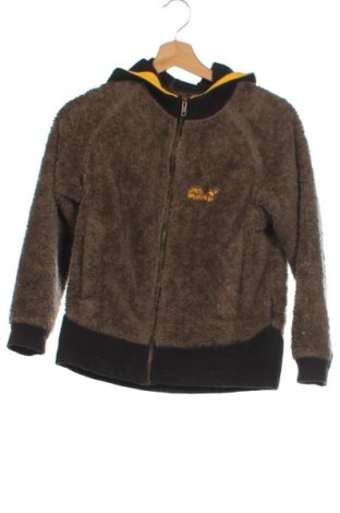 Παιδικό φούτερ Jack Wolfskin, Μέγεθος 8-9y/ 134-140 εκ., Χρώμα Πράσινο, Τιμή 25,99 €