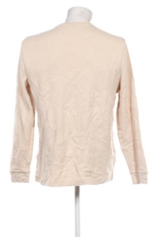 Herren Shirt Eddie Bauer, Größe L, Farbe Beige, Preis € 27,99