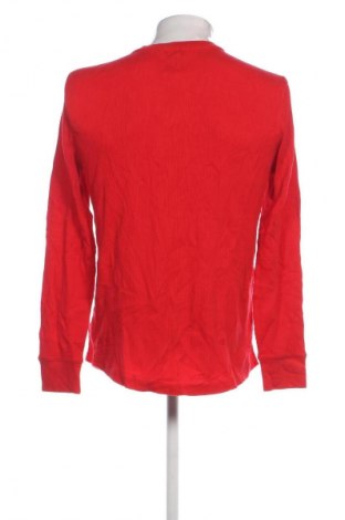 Herren Shirt Gap, Größe L, Farbe Rot, Preis 18,99 €