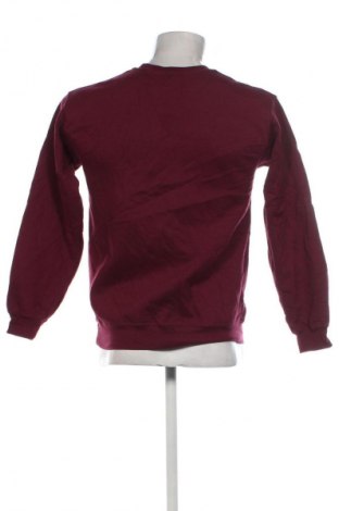 Herren Shirt Gildan, Größe S, Farbe Rot, Preis 13,49 €