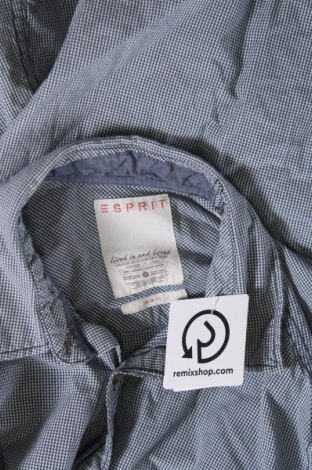 Herrenhemd Esprit, Größe S, Farbe Blau, Preis € 13,99