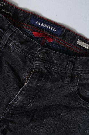 Herren Jeans Alberto, Größe S, Farbe Schwarz, Preis 31,99 €