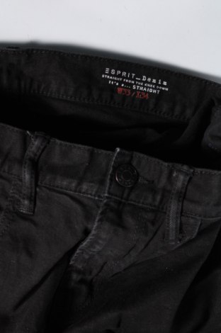 Herren Jeans Esprit, Größe L, Farbe Schwarz, Preis 18,99 €