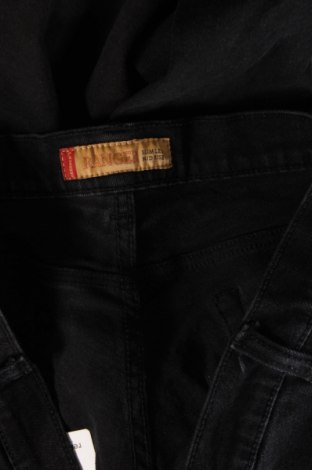 Herren Jeans Paddock`s, Größe XL, Farbe Schwarz, Preis 33,99 €