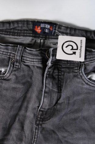 Herren Jeans Watson's, Größe M, Farbe Grau, Preis € 15,99