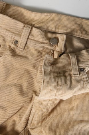 Herren Cordhose, Größe M, Farbe Beige, Preis 27,49 €