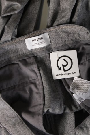 Herrenhose Only & Sons, Größe L, Farbe Grau, Preis 27,49 €