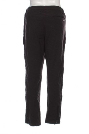 Herrenhose Regatta, Größe XL, Farbe Schwarz, Preis 23,99 €