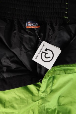 Pantaloni bărbătești pentru sporturi de iarnă Crivit, Mărime M, Culoare Verde, Preț 417,99 Lei