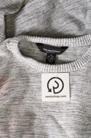 Herrenpullover CedarWood State, Größe M, Farbe Grau, Preis 14,99 €