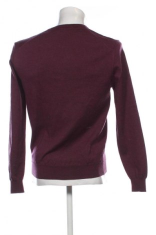 Herrenpullover Globus, Größe L, Farbe Lila, Preis 53,00 €