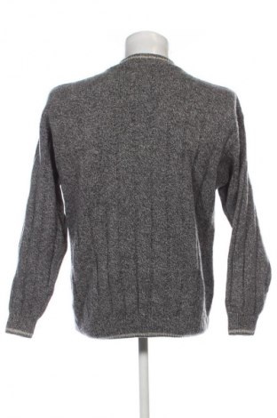 Herrenpullover McNeal, Größe L, Farbe Mehrfarbig, Preis € 20,99