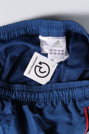 Herren Sporthose Adidas, Größe L, Farbe Blau, Preis 24,55 €