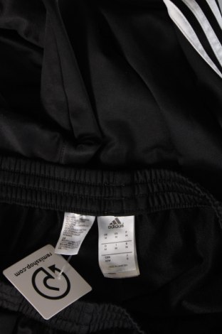 Herren Sporthose Adidas, Größe M, Farbe Schwarz, Preis € 33,99