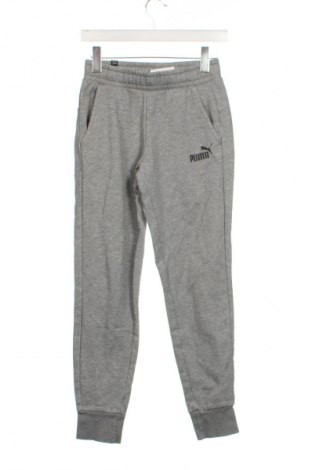 Damen Sporthose PUMA, Größe XS, Farbe Grau, Preis € 24,55