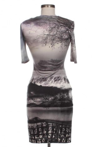 Kleid Mary Katrantzou, Größe S, Farbe Mehrfarbig, Preis 147,99 €