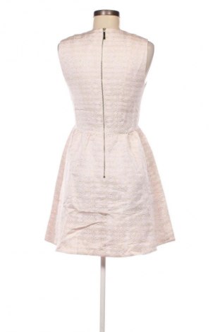 Kleid Ted Baker, Größe S, Farbe Rosa, Preis 109,49 €