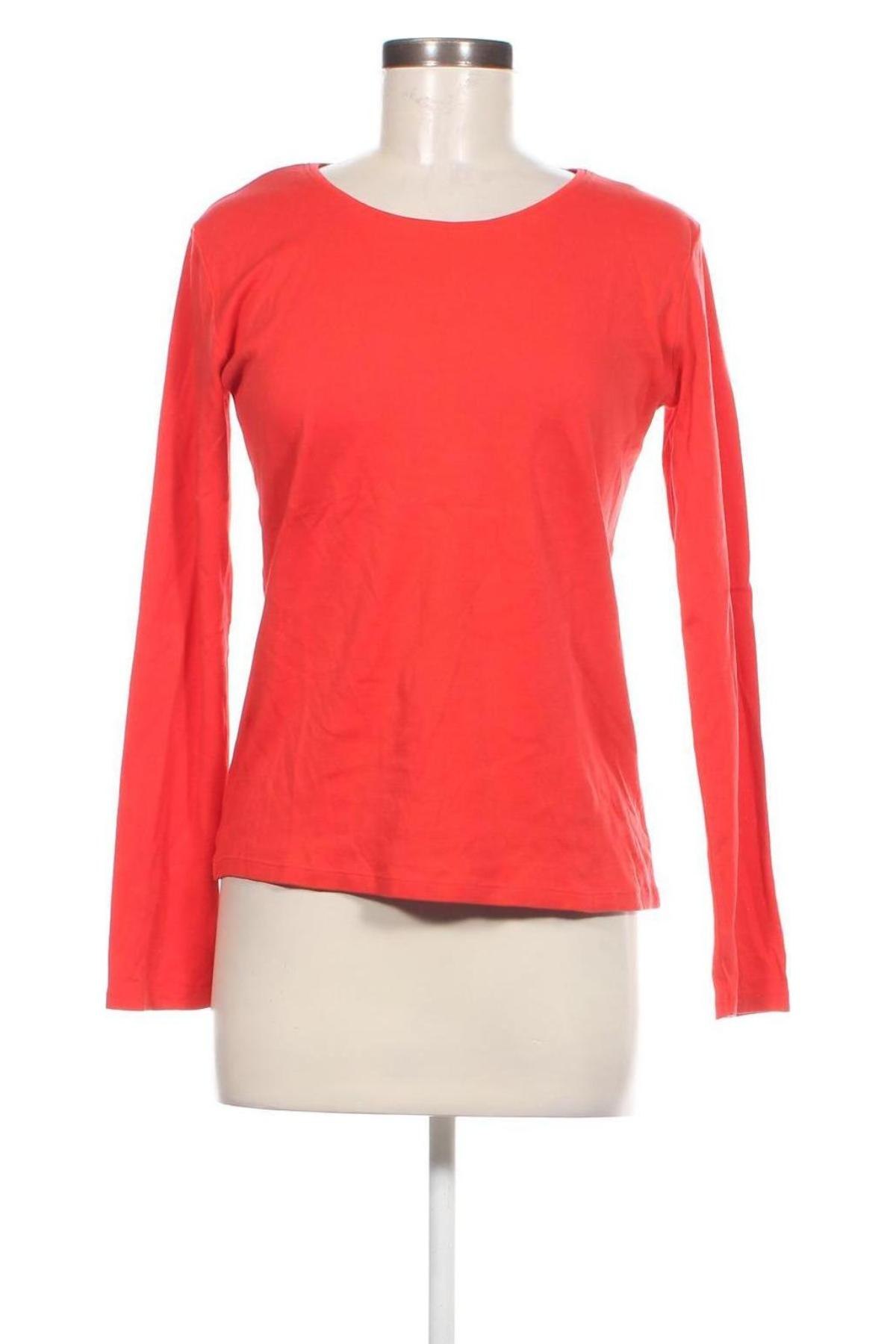 Damen Shirt Cecil, Größe M, Farbe Orange, Preis € 23,99