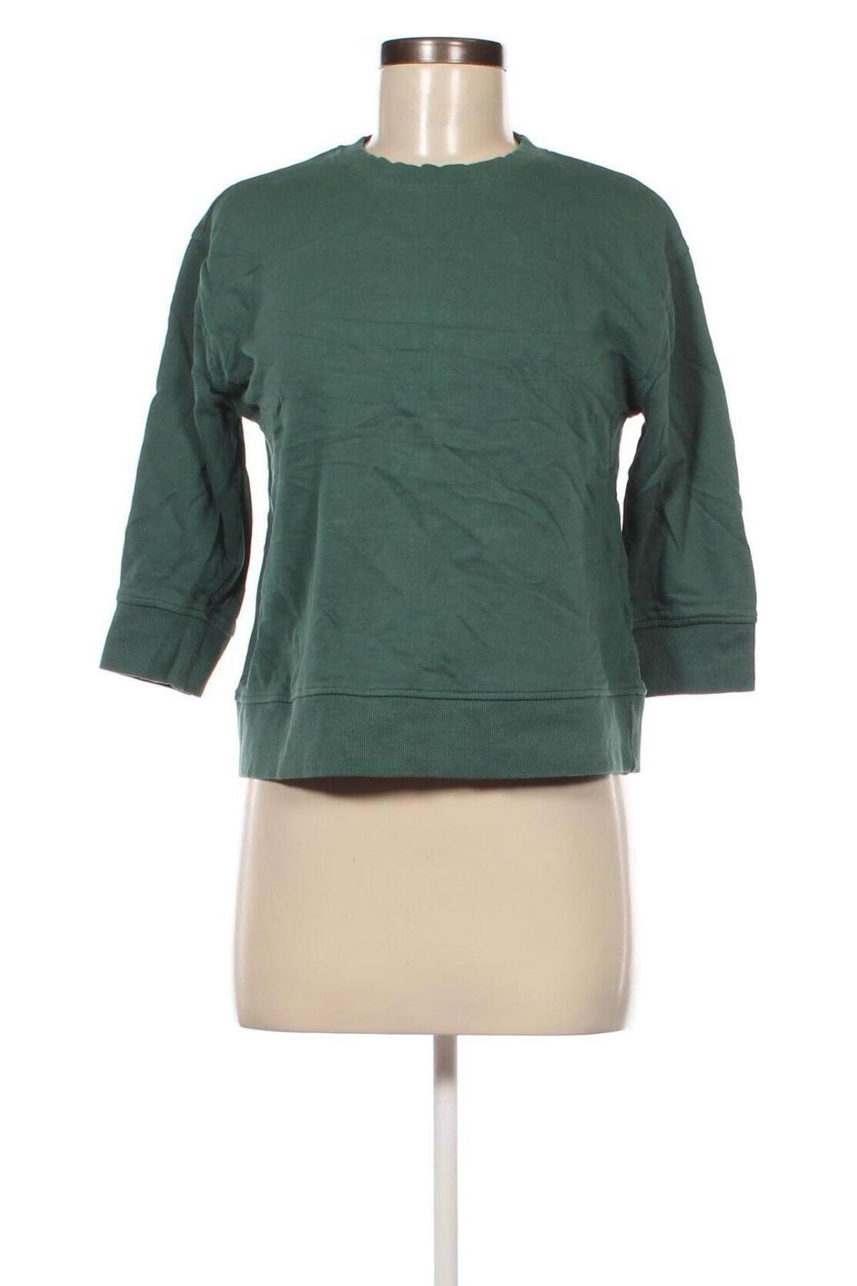 Damen Shirt Zara, Größe S, Farbe Grün, Preis € 18,99