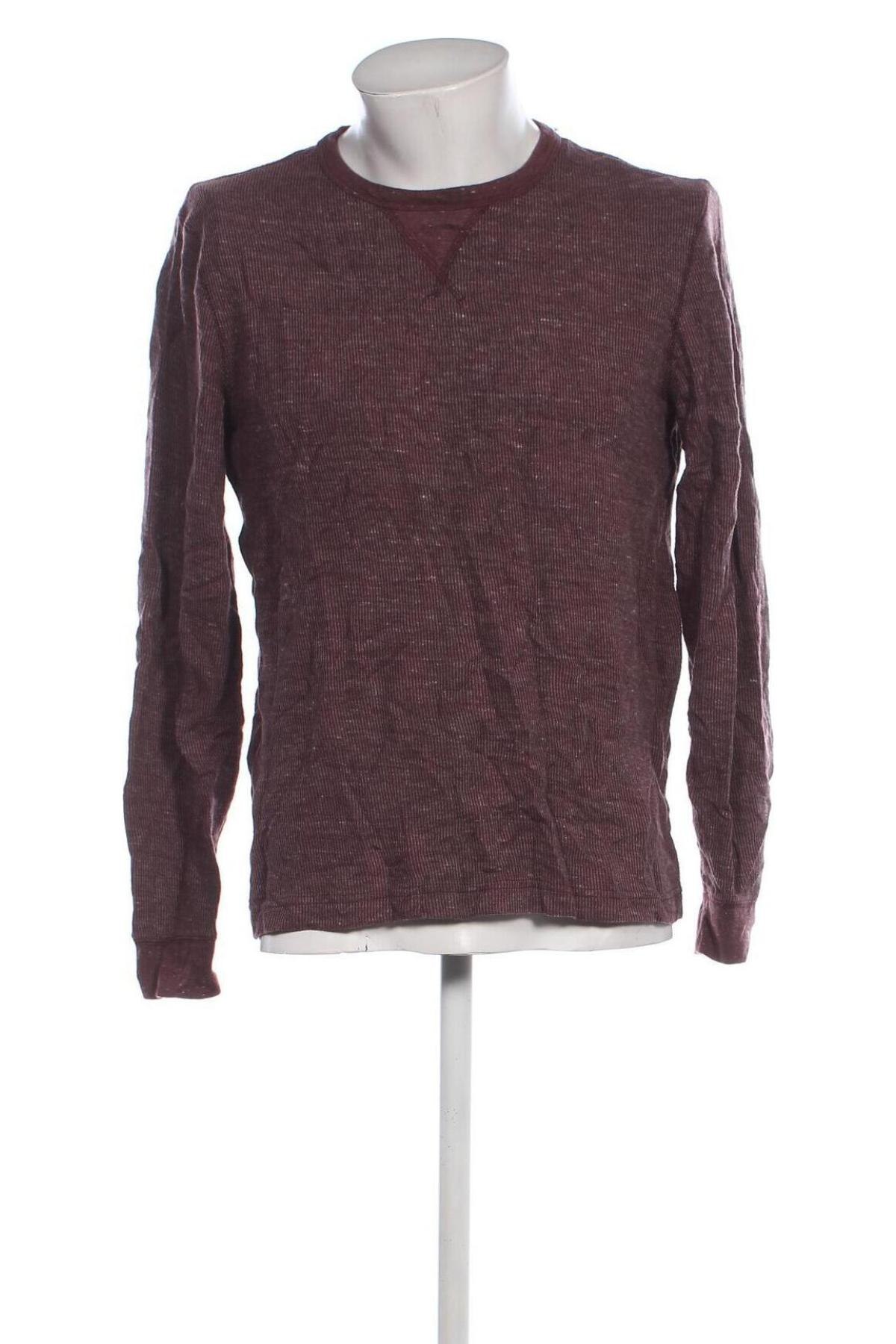 Herren Shirt Sonoma, Größe L, Farbe Braun, Preis 13,49 €