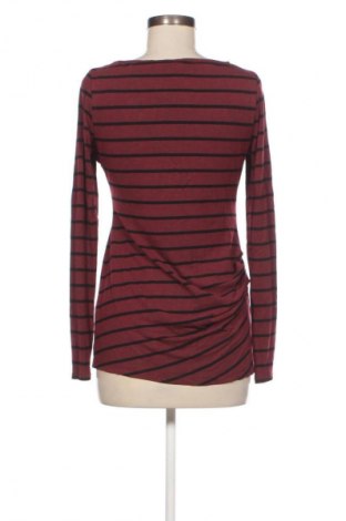 Damen Shirt A Pea In The Pod, Größe XS, Farbe Mehrfarbig, Preis € 17,39