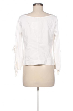 Damen Shirt Armani Exchange, Größe M, Farbe Weiß, Preis 50,93 €