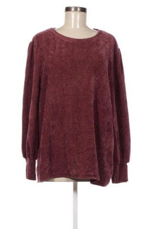 Damen Shirt Avella, Größe XXL, Farbe Rot, Preis € 4,99