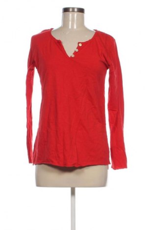 Damen Shirt BAOBAB, Größe M, Farbe Rot, Preis € 32,54
