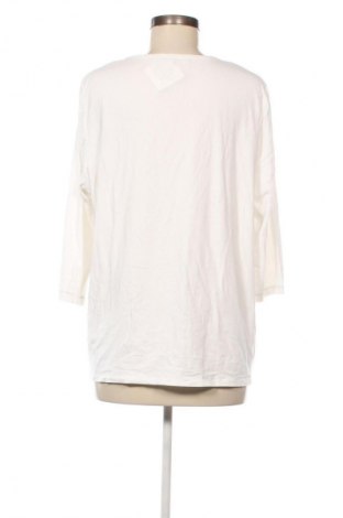 Γυναικεία μπλούζα Bonita, Μέγεθος XL, Χρώμα Πολύχρωμο, Τιμή 10,00 €