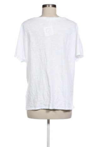 Damen Shirt Brax, Größe XL, Farbe Weiß, Preis € 19,99