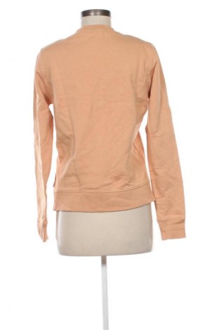 Γυναικεία μπλούζα Calvin Klein, Μέγεθος S, Χρώμα Πορτοκαλί, Τιμή 31,99 €