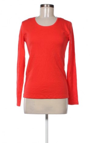 Damen Shirt Cecil, Größe S, Farbe Orange, Preis 5,99 €