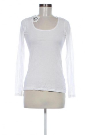 Damen Shirt Cinque, Größe M, Farbe Weiß, Preis € 24,48