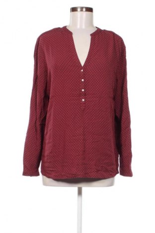 Damen Shirt Esprit, Größe L, Farbe Mehrfarbig, Preis 9,99 €
